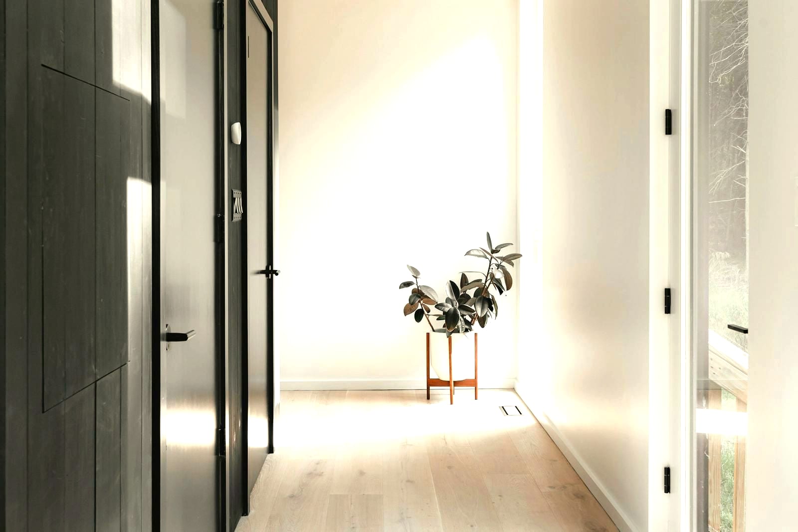 A bright hallway with a plant beside an open door